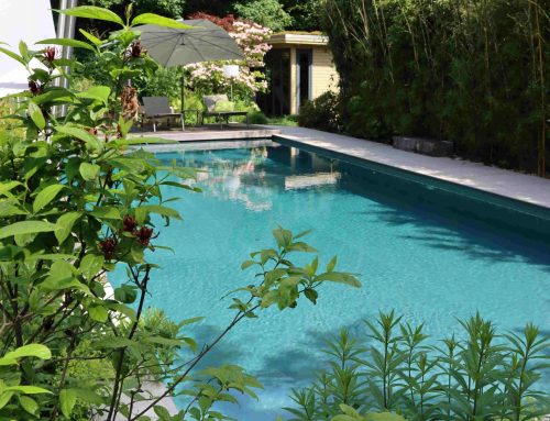 Kurzer Ausflug ins Paradies 🌿💦