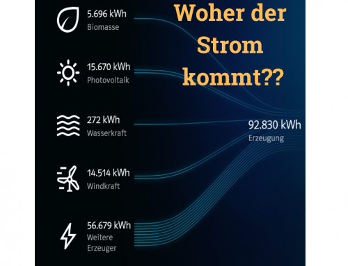 Aus welchen Quellen kommt der Strom?